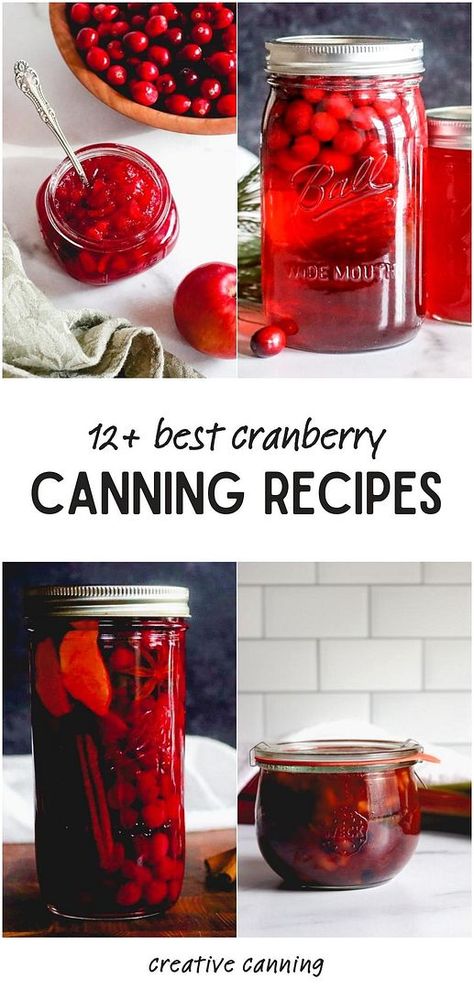 Check out 12+ best cranberry canning recipes for preserving this tart and versatile fruit. Ideal for holiday tables, these recipes include pickled cranberries, sauces, and juices. Find more fresh cranberry recipes, ways to preserve cranberries, fall canning recipes, and Home Canning Recipes at creativecanning.com. Canning Cranberry Juice Recipes, Cranberry Juice Canning Recipe, Fall Canning Recipes, Cranberry Canning Recipes, Cranberry Holiday Recipes, Canning Cranberry Juice, Pickled Cranberries, Canning Recipes For Beginners, Canning Cranberry Sauce