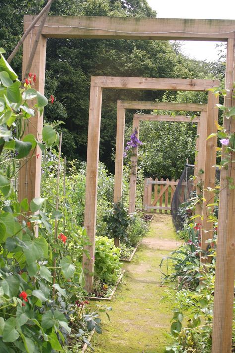 Kitchen Garden Layout, Outdoor Kitchen Garden, Funny Vine, Indoor Ideas, Indoor Outdoor Kitchen, Vertical Vegetable Garden, Vegetable Garden Raised Beds, Garden Layout Vegetable, Building A Raised Garden