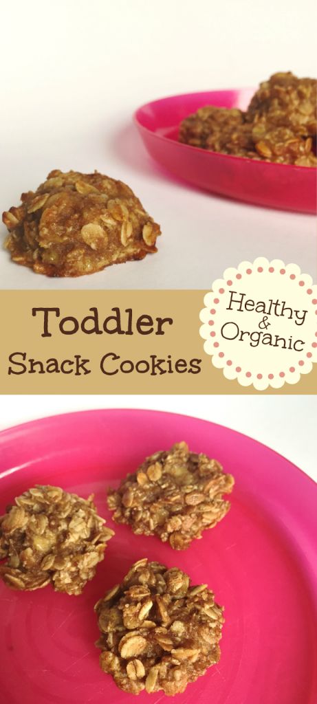 Oatmeal Snack, Oatmeal Snacks, Snack Cookies, Office Food, Toddler Snack, Biscuits Diététiques, Healthy Toddler Snacks, Snack Bites, Organic Snacks