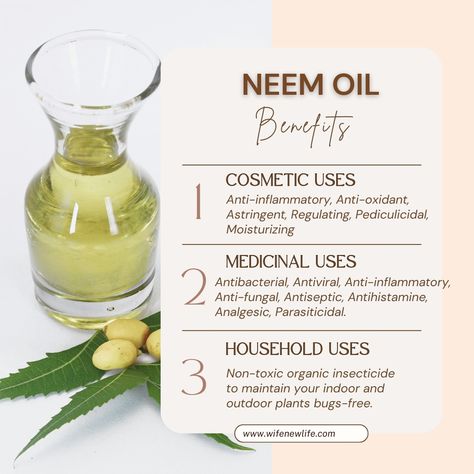 Neem Oil Benefits Skin, Neem Powder Benefits, Neem Leaf Benefits, Neem Oil Benefits, Benefits Of Neem Oil, Neem Oil For Hair, Neem Benefits, Benefits Of Neem, Oils And Their Benefits