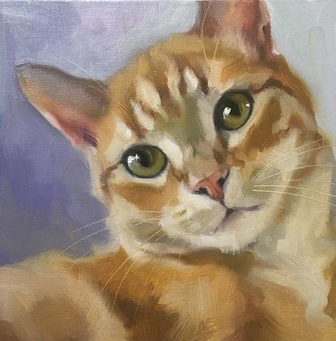 Adopt370 by Katya Minkina, Oil, 8 x 8 Katya Minkina, Draw Cats, Cat Portrait Painting, Galleria D'arte, Cat Artwork, 수채화 그림, Watercolor Cat, Cat Portraits, Daily Paintworks