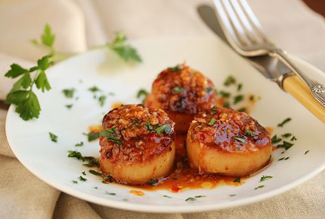 Grilled Scallops with Red Yuzu Kosho Vinaigrette Bbq Scallops, Yuzu Kosho, Fine Dining Desserts, Grilled Scallops, Shellfish Recipes, Scallop Recipes, Healthy Sugar, Island Food, Delicious Donuts