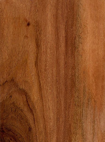 Rhodesian Teak (sealed) Teak Wood Texture, Teak Interior, Teak Floor, Wood Texture Seamless, Wood Mid Century, Mid Century Wood, Teak Wood Furniture, House Redesign, Mid Century Modern Wood