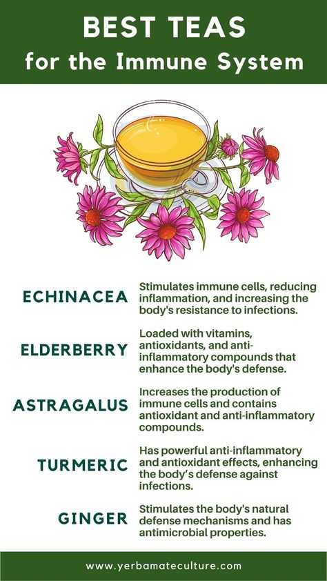 Here are the 5 best herbal teas for boosting the immune system. Find out home the immune system works and how to use natural remedies to enhance its function. Best Herbal Teas, How To Boost Your Immune System, Herbal Tea Benefits, Natural Medicine Cabinet, Echinacea Tea, Best Herbal Tea, Immune Boosting Foods, Immune System Boosters, Herbal Teas Recipes