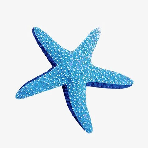 Starfish Clipart, Graphic Design Portfolio Examples, Summer Icon, Png Aesthetic, Ocean Wallpaper, Iphone App Design, Iphone Wallpaper Photos, Png Icons, Widget Icon