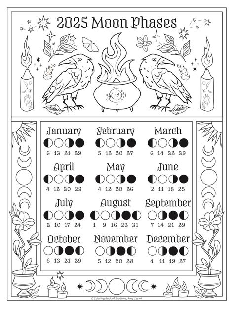 2025 Witches Calendar, Moon Calander 2025, Lunar Calendar 2025 Free Printable, 2025 Witchy Calendar, 2025 Full Moons, 2025 Full Moon Calendar, 2025 Moon Calendar, 2025 Lunar Calendar, Butterfly Meaning