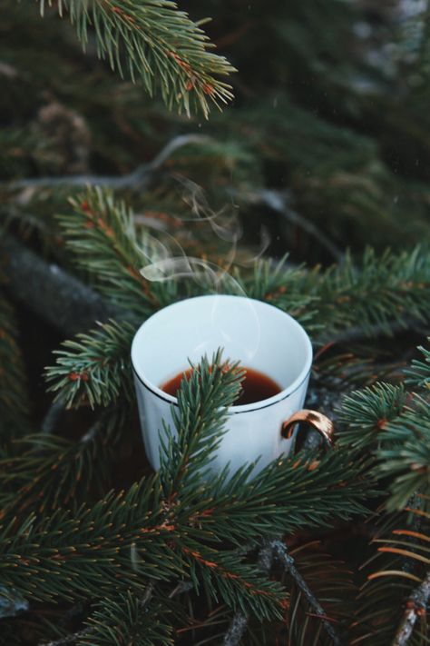 Winter Coffee Photography, Winter Coffee Aesthetic, Christmas Coffee Aesthetic, Coffee Winter, Coffee Review, A Level Photography, Coffee Books, Coffee Shot, Mixed Art