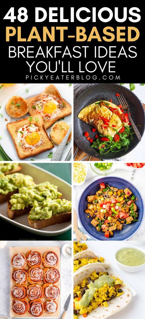 Breakfast Plant Base, Plan Based Diet, Breakfast Ideas Plant Based, Breakfast Plant Based Recipes, Plant Based Vegan Breakfast, Plant Based Diets For Beginners, Plant Based Paleo, Plant Based Recipes Breakfast Simple, Easy Healthy Plant Based Meals