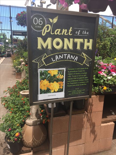 Signs - Colorful, professional signage, creates sale section, provides ideas solutions and growing tips "Lead the way." Garden Center Magazine. N.p., 29 Sept. 2016. Web. 04 Feb. 2017. Garden Center Ideas Display, Plant Nursery Signage, Garden Center Merchandising, Garden Center Displays Nurseries, Garden Center Signage, Plants For Sale Sign, Flower Shop Signage, Plant Sale Sign, Garden Center Displays Retail Ideas