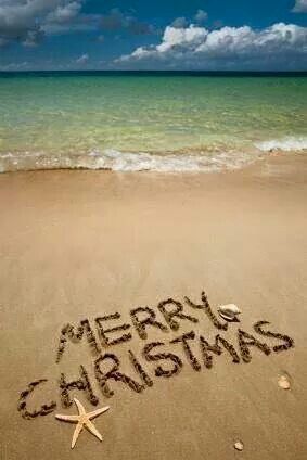 Merry Christmas Myrtle Beach Christmas, Beach Christmas Pictures, Christmas Beach, Get Ready For Christmas, Florida Christmas, Hawaiian Christmas, Beachy Christmas, Tropical Christmas, Christmas Events