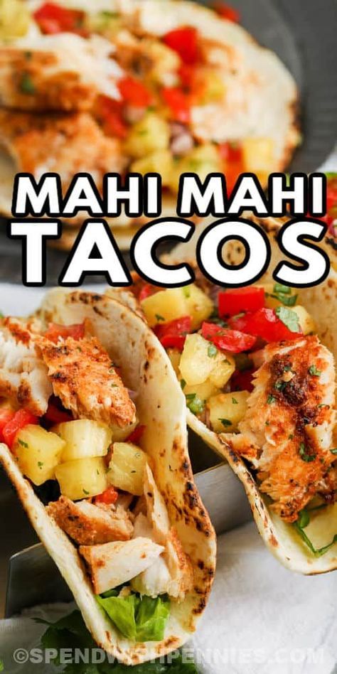 Mahi Mahi Tacos are the best for any season. As a finishing touch, top them with mango salsa, an avocado, or a simple white fish sauce. #spendwithpennies #mahimahitacos #maindish #recipe #fish #fishtacos #mangosalsa #blackened #fried #mahimahi Mahi Fish Tacos Easy, Marinated Mahi Mahi Recipes, Seared Fish Tacos, Maui Maui Fish Tacos Recipes, Maui Maui Fish Tacos, Mahi Mahi Taco Recipes, Mahi Mahi Fillet Recipes, Mahi Mahi And Rice Recipes, Mahi Mahi Recipes Tacos