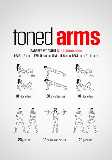 Super effective workout plan for women. easy to do at home workouts for beginners. Full body with no weights. Quick results. #tonearms #summer #flabbyarms Toned Arms Workout, Effective Workout Plan, Arm Flab, Arm Workouts At Home, Beginner Workout At Home, Arm Workout Women, Beginner Workouts, Arms Workout, Trening Fitness