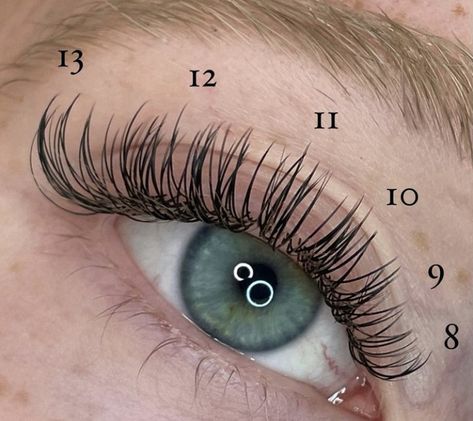 Map Eyelash Extensions, Pro Lash, Lash Map, Lash Extentions, Individual Lash Extensions, Classic Lashes, Lashes Fake Eyelashes, Eyelash Tips, Eyelash Technician