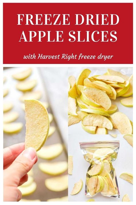 Freeze Dry Fruit, Freeze Dried Apples, Dry Apples, Freeze Dry Food, Dried Apple Slices, Dried Apple Chips, Dried Fruit Recipe, Apples Recipes, Freeze Dried Food Storage