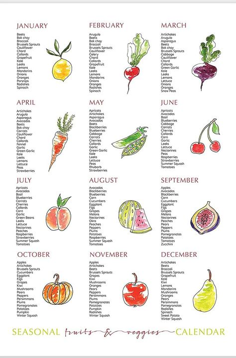 Amazon.com: Seasonal Fruit and Vegetable Wall Decor - Food Type Chart Posters for Home, Office, Studio, Classroom - 12x16 Inches : Office Products Fruit Season Chart, Vegetable Poster, Seasonal Fruits And Vegetables, Vegtable Garden, Type Chart, Wall Art For Kitchen, Food Type, Pumpkin Seed Recipes, Art For Kitchen