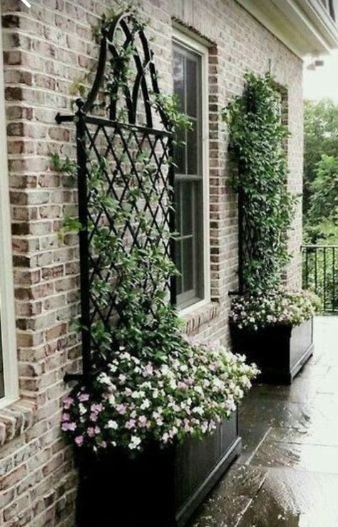 Iron Trellis, نباتات منزلية, Have Inspiration, Garden Yard Ideas, Garden Trellis, Courtyard Garden, Art Sculptures, Garden Cottage, Front Garden