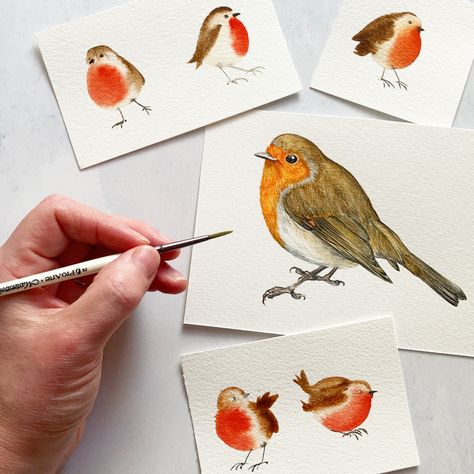 Learn to paint a simple watercolour robin with Harriet de Winton’s latest youtube tutorial. #robin #christmascardsdiy #watercolourinspiration #craftideas #watercolour #christmascraftideas #youtube Watercolor Robin Tutorial, Watercolour Robin Christmas, Harriet De Winton Watercolor, Botanical Painting Watercolour, Robin Christmas Card, Robin Watercolour, Watercolour Robin, Watercolor Birds Tutorial, Watercolor Robin