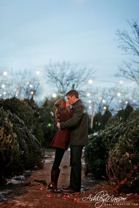 Christmas tree farm engagement photos | Ashley Mansur Photography Christmas Tree Lot, Christmas Tree Farm Photos, Farm Engagement Photos, Christmas Tree Lots, Christmas Engagement, Winter Photoshoot, Farm Photo, Winter Engagement Photos, Wedding Winter