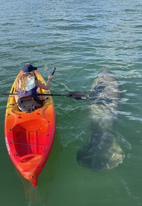 Paddle Boarding Florida, 2 Person Kayak, Marathon Key, Kayak Stand, Marathon Florida, Girl Vacation, Sea Kayak, Stand Up Paddle Board, Kayak Tours