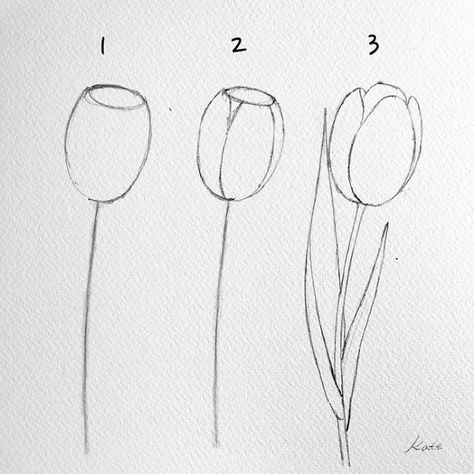 dibujos-a-lapiz-sencillos-tipos-de-tulipanes-para-dibujar-dibujos-sencillos-originales-fotos-de-dibujos-para-calcar Ako Kresliť, Easy Flower Drawings, Drawing Hands, Flower Drawing Tutorials, Flower Art Drawing, Drawing Faces, Flowers Arrangements, Flower Sketches, Sketch Art