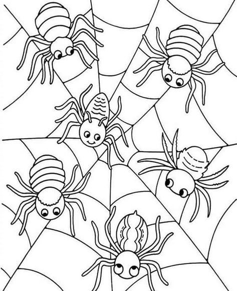 Fun Spider coloring pages for your little one. They are free and easy to print. The collection is varied with different skill levels Spider Coloring Pages, Spider Printable, Lucas The Spider, Monkey Coloring Pages, Spider Pictures, Spider Coloring Page, Halloween Coloring Sheets, Monkey Pictures, Halloween Coloring Book