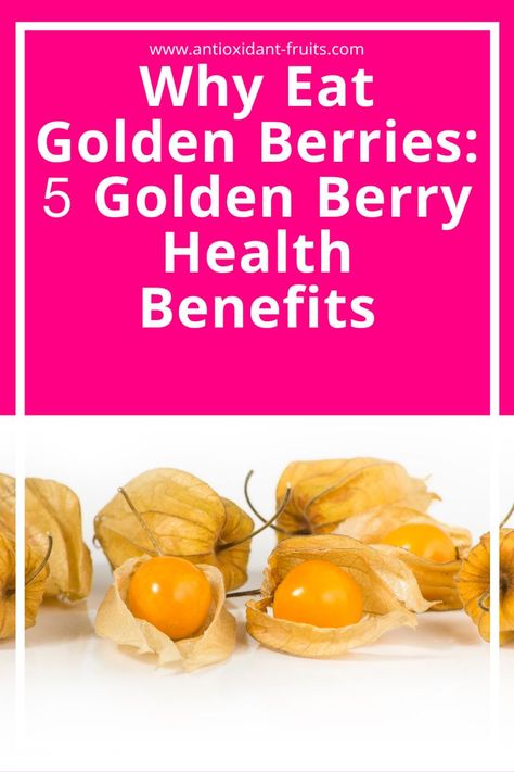 golden berry Benefits Of Gooseberries, Gooseberry Benefits Health, Golden Gooseberry Recipes, Golden Berries Benefits, Golden Berry Recipes, Cape Gooseberry Recipes, Golden Berries Recipes, Gooseberry Benefits, Gooseberry Recipes