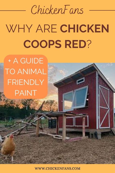 Chicken Coop Colors Paint, Exterior Paint Colors For Chicken Coop, Chicken Coop Color Ideas, Painting Chicken Coop Ideas, Colorful Chicken Coop Ideas, Chicken Coop Paint, Chicken Coop Paint Colors, Painted Chicken Coop Ideas, Painted Chicken Coop