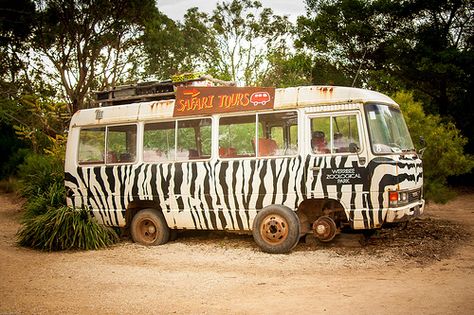 Zoo Australia, Jungle Travel, Safari Bus, Nature Jungle, Jungle Painting, Interactive Museum, Tour Bus, Safari Tour, Zebra Stripes