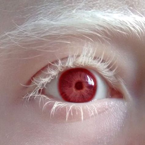 Eye Photography, Aesthetic Eyes, Pretty Eyes, Eye Art, Photo Reference, An Eye, White Hair, Art Reference Photos, Cool Eyes