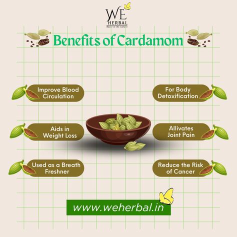 Benefits of Cardamom Cardamom Benefits Health, Health Benefits Of Cardamom, Cardamom Tea Benefits, Cardamon Benefits Healthy, Cardamom Magical Properties, Carob Benefits, Schisandra Benefits, Benefits Of Cardamom, Cardamom Benefits