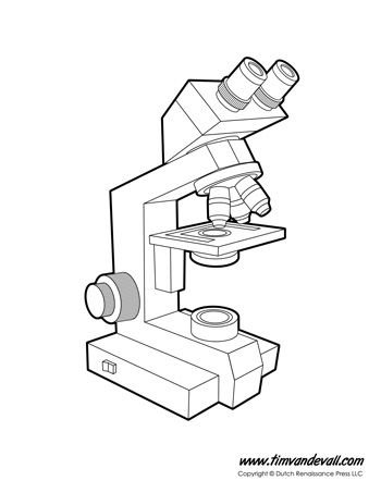 Anatomy of a Microscope Microscope Diagram, Microscope Worksheet, Parts Of A Microscope, College Essay Tips, Biology Test, Science Diagrams, Optical Microscope, Science Printables, Science Quiz