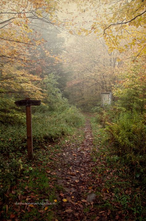 Hiking Path, Virginia Hill, West Va, Virginia House, Country Roads Take Me Home, Virginia Homes, Walk In The Woods, Take Me Home, Beautiful Mountains