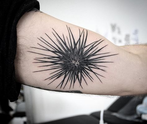 Sea Urchin Tattoo, Hipster Tattoos, Biology Tattoo, Anemone Tattoo, Animal Tattoos For Women, Animal Sleeve, Hipster Tattoo, Super Tattoo, Tattoo Animal