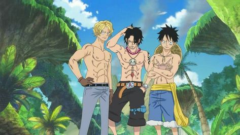 One Piece Fairy Tail, Susanoo Naruto, Sabo One Piece, Ace Sabo Luffy, Ace And Luffy, One Piece Crew, One Piece Ace, One Piece Funny, One Peice Anime