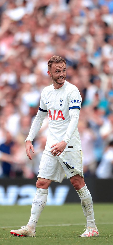 Wallpaper Football Players, Tottenham Hotspur Wallpaper, Wallpaper Football, Tottenham Hotspur Players, James Maddison, Tottenham Hotspur Football, Football Photography, Best Profile, Tottenham Hotspur Fc