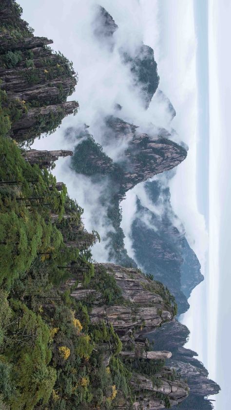 Sea of clouds and peaks of Yellow Mountain or Huangshan Mountain in Huangshan City, Anhui province. Wugong Mountain, Air Kingdom, China Mountains, Mountain Plants, Tianzi Mountains, Yellow Mountains, Huangshan Mountains, Aqua Scape, Sea And Mountains