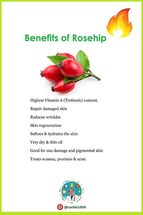 Rhodolia Rosea Benefits, Rose Hip Benefits, Evening Prime Rose Benefits, Rosehips Benefits, Rose Hip Tea Benefits, Rose Hip Oil Benefits, Benefits Of Rose Hips, Rose Hips Benefits, Rosehip Recipes