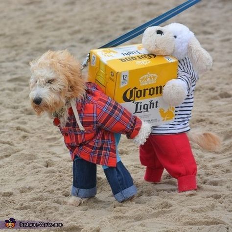 Cute Dog Halloween Costumes, Best Dog Halloween Costumes, Beer Costume, Cat Costume Diy, Fancy Dress Ideas, Puppy Costume, Diy Dog Costumes, Cat Halloween Costume, Pet Halloween Costumes