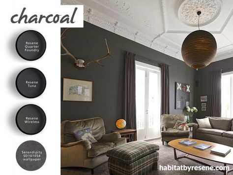 Choosing the right grey | Habitat by Resene Dark Gray Paint Living Room, Living Room Charcoal Walls, Charcoal Gray Accent Wall Living Room, Charcoal Grey Walls Living Room, Charcoal Living Room Walls, Charcoal Gray Accent Wall, Charcoal Accent Wall Living Room, Charcoal Walls Living Room, Dark Gray Accent Wall Living Room