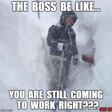 2. We don't get many "snow days" here. We have to call in sick to go skiing on a weekday (or so I've heard). Winter Meme, Cold Weather Funny, Funny Baby Card, Winter Humor, Snow Humor, Best Funny Photos, Funny Baby Quotes, Work Memes, Funny Happy