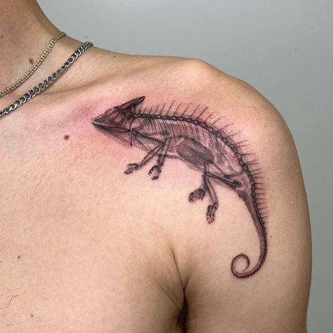 Manta Ray Skeleton Tattoo, Zoology Tattoo Ideas, Monitor Lizard Tattoo, Reptile Tattoo, Alligator Tattoo, Chameleon Tattoo, Dinosaur Tattoo, Lizard Tattoo, Ray Tattoo