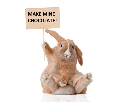 Adopting An Easter Bunny? Make Mine Chocolate! Stop Animal Testing, Leaping Bunny, Stop Animal Cruelty, Cruelty Free Cosmetics, Cruelty Free Brands, Make Beauty, Cruelty Free Makeup, Cruelty Free Beauty, Animal Welfare