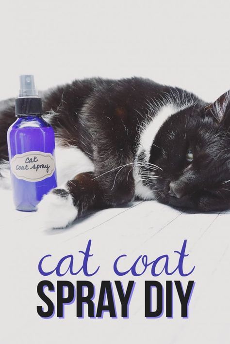 Cat Shampoo, Cat Hacks, Cat Spray, Diy Sprays, Cat Care Tips, New Cat, Diy Cat, Cat Training, Pet Hacks