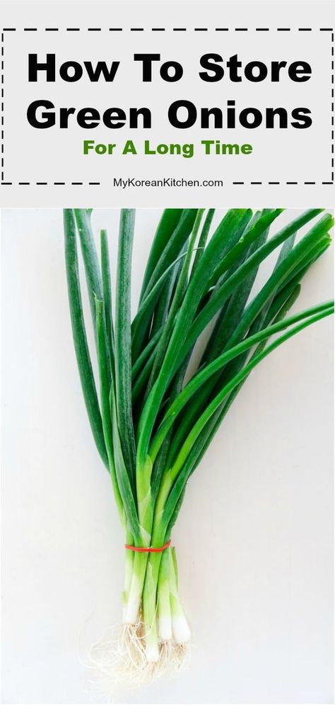 How To Save Green Onions, How To Preserve Scallions, Preserving Scallions, Green Onion Storage How To Store, Best Way To Store Green Onions, Uses For Green Onions, Preserve Green Onions, Storing Green Onions In Fridge, Freezing Green Onions