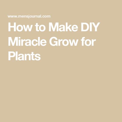 How to Make DIY Miracle Grow for Plants Diy Miracle Grow, Miracle Grow Diy, Miracle Grow, Household Products, Essential Nutrients, How To Make Diy, Flower Garden, Plants