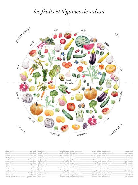 A beautiful color wheel of seasonal fruits and vegetables. By MODVIN.   #illustrated art #illustratedartprints #posterdesigninspiration #posterdesignlayout #posterdesign ideas #kitchendecorart #botanicalprints #travelart #foodart Seasonal Fruits And Vegetables, Vegetable Chart, Seasons Poster, Season Calendar, Seasons Posters, Seasonal Fruits, Gallery Wall Layout, Poster Design Layout, Illustrated Art