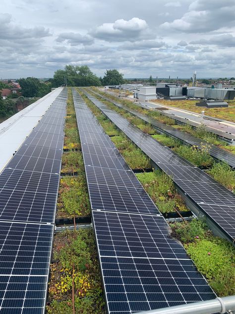 Green Roof Project, Eco Roof, Green Roof Building, Renewable Energy Technology, Urban Heat Island, Green Roofs, Sustainable Technology, Sustainable City, Photovoltaic Panels