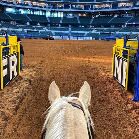 Rodeo Horses Barrels, Barrel Racing Aesthetic, Hailey Kinsel, Barrel Racing Photos, Barrel Racing Photography, Cade Eaton, Barrel Racing Tack Rodeo, Funny Horse Pictures, Foto Cowgirl