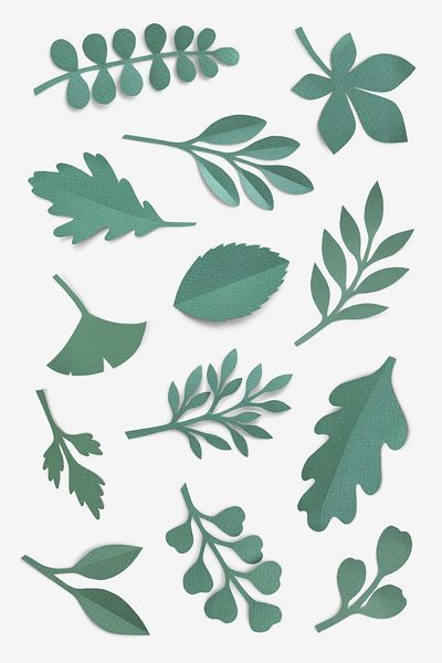 Eucalyptus paper craft leaf isolated | Free PSD - rawpixel Paper Leaves Template, Green Paper Craft, Paper Leaf Template, Leaf Paper Craft, Leaf Design Pattern, Craft Leaf, Leaf Template Printable, Fall Leaf Template, Craft Rose