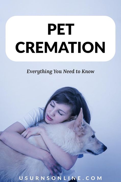 pet cremation everything you need to know Companion Urns, Pet Cremation Urns, Pet Cremation, Saying Goodbye, Losing A Pet, Cremation Urns, Pet Loss, The Process, Need To Know